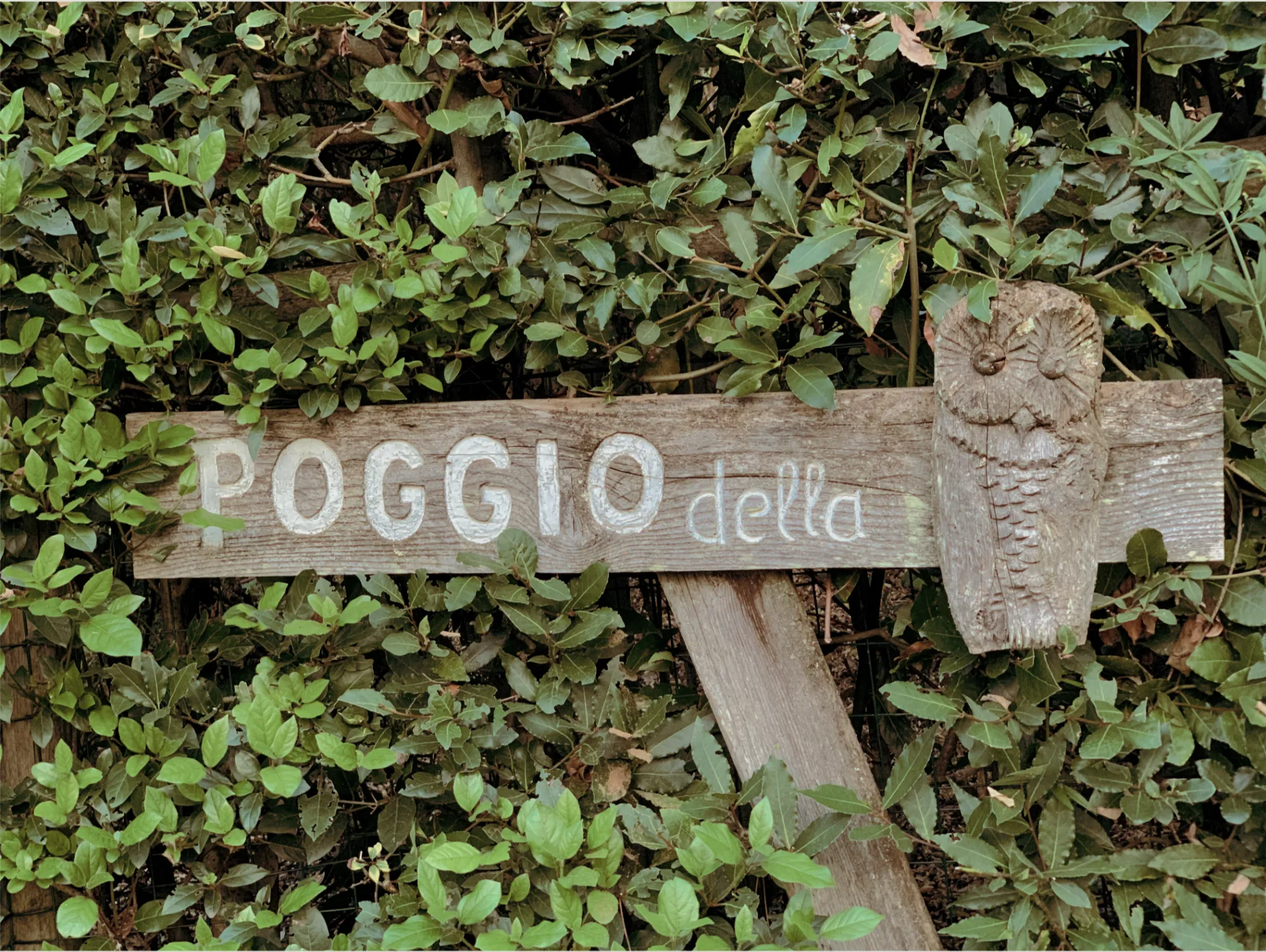 Poggio della Civetta