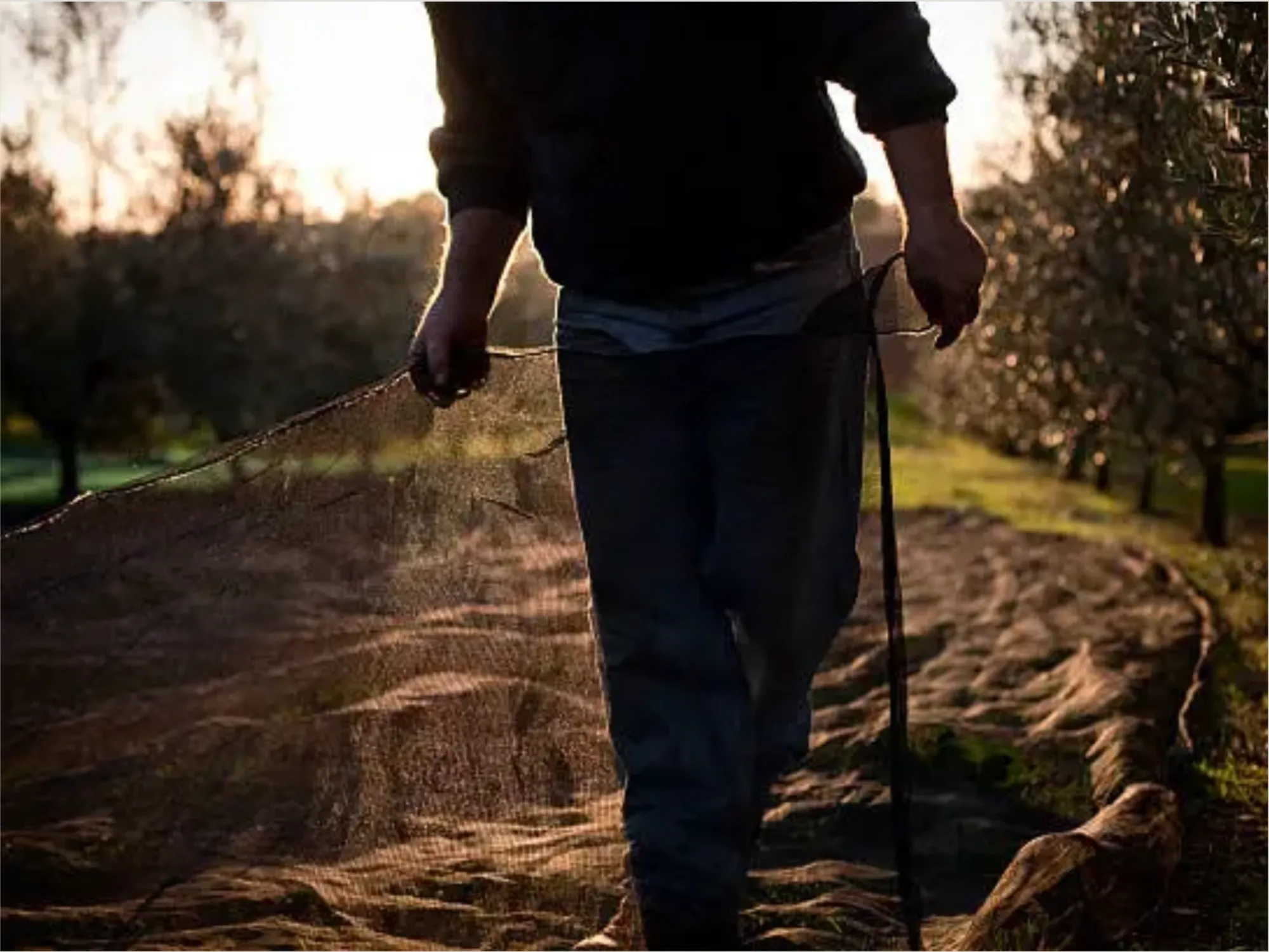 Poggio della Civetta